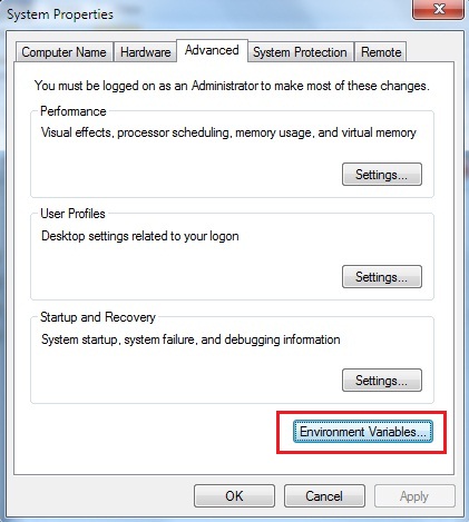 environment variable window